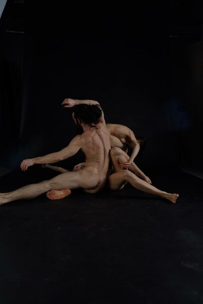 discourse on the body: waltz#2 - a Photographic Art Artowrk by ivochka